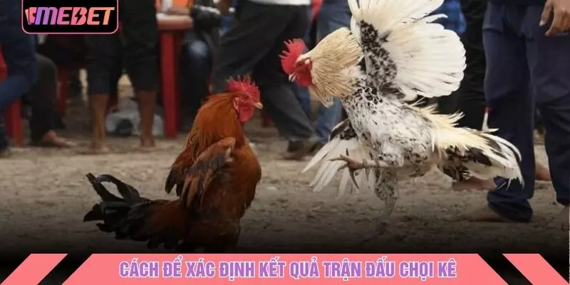 Cách để xác định kết quả trận đấu chọi kê
