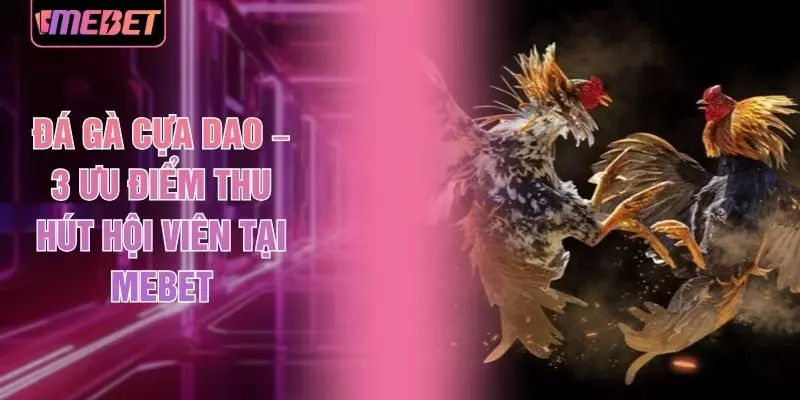 Đá Gà Cựa Dao – 3 Ưu Điểm Thu Hút Hội Viên Tại MEBET