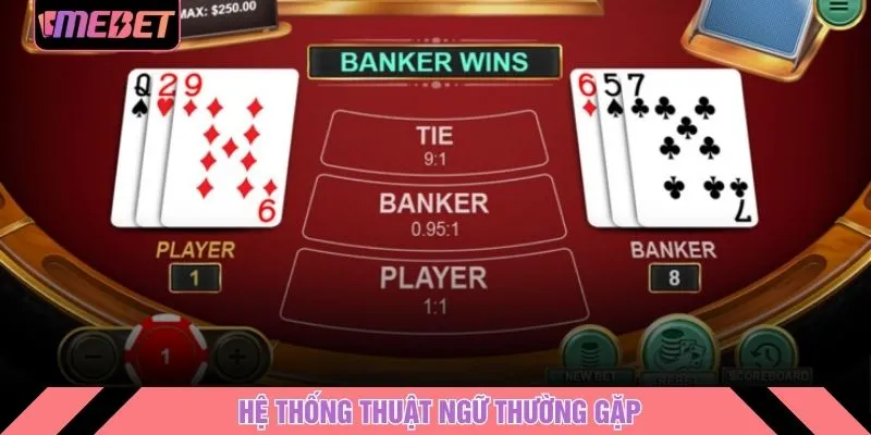 Hệ thống thuật ngữ thường gặp