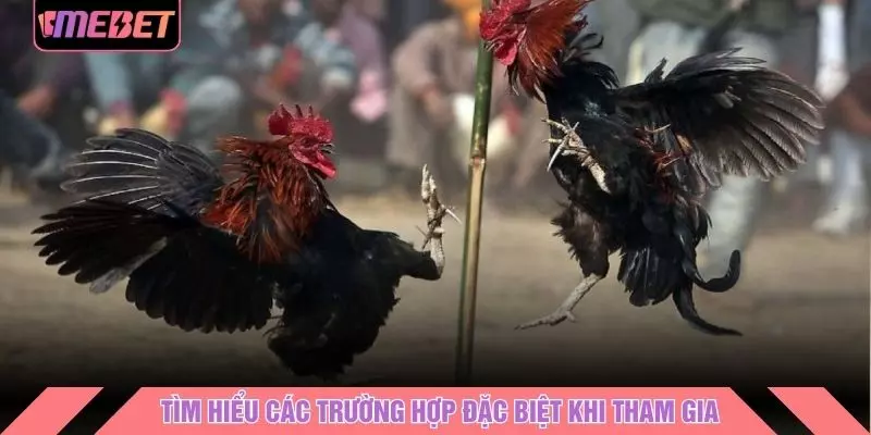 Tìm hiểu các trường hợp đặc biệt khi tham gia